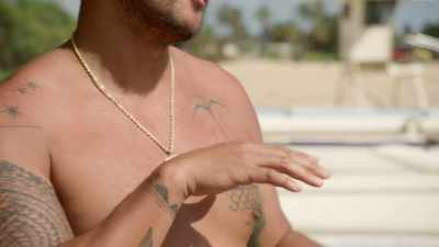 This is a navigation bird
called kaua i oola - The World According to Jeff Goldblum