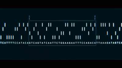 This is a receptor that,
if you don't have it, - Human Nature