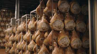 This is a shrine
to piggies past. - Stanley Tucci: Searching for Italy