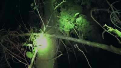 This is a tree structure
right next to our camp. - Expedition Bigfoot