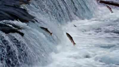 This is a tremendously
exciting thing to watch, - The Alaska Triangle