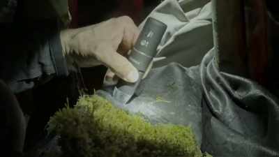  This is actually
 connects to my cellphone - Expedition Bigfoot