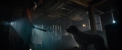 This ain't
the Southland anymore. - The Call of the Wild