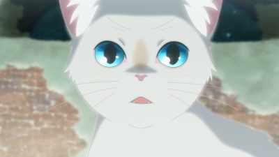 This is all my fault! - A Whisker Away