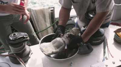  This is all plastic
   that we caught - The Story of Plastic