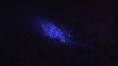 This is all potch.
Potch being the base material - Outback Opal Hunters
