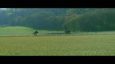 This is always the case at this
time of year, is not knowing - Horsepower