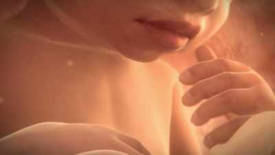 "This is an apple,
this is Mama," you know, - Superhuman: The Invisible Made Visible