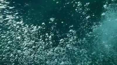 This is an area where ships
have gone missing for a very, - Mysteries of the Deep