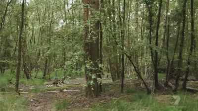 This was an area with
which Bellfield was very familiar, - The Real Manhunter