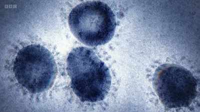 This is an infectious
bronchitis virus. - Secrets of Size: Atoms to Supergalaxies