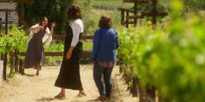 This is an organic winery,
so we can't have you walking in there. - Wine Country