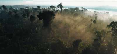 This ancient
and richly biodiverse world - Eating Our Way to Extinction