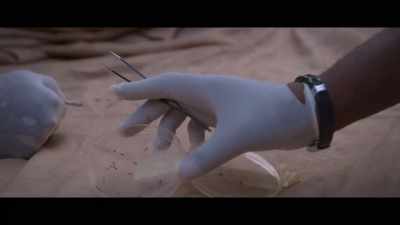This is Anopheles gambiae, - Unnatural Selection