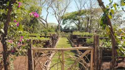 This is beautiful! - Eva Longoria: Searching for Mexico