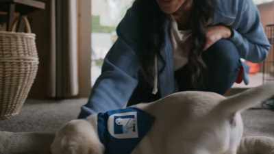 This bed is called "place." - Guiding Emily
