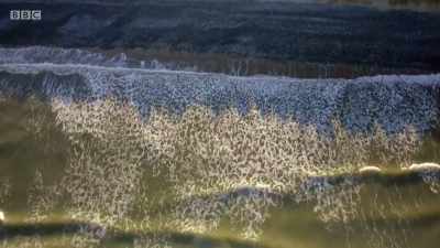 This has been a season of extremes. - Wales: Land of the Wild
