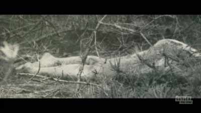 -This is beyond grisly
and beyond disturbing. - Lady of the Dunes: Hunting the Cape Cod Killer