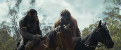 This bird follows you too? - Kingdom of the Planet of the Apes