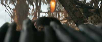 This blanket had the
blood of an Echo on it. - Kingdom of the Planet of the Apes