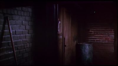 This brings us to our third, and maybe crucial example, - The Pervert's Guide to Cinema