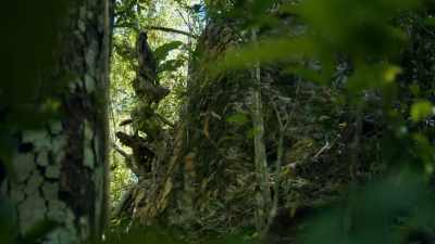 This building maybe was completed
between 350 to 600 A.D. - Lost Treasures of the Maya