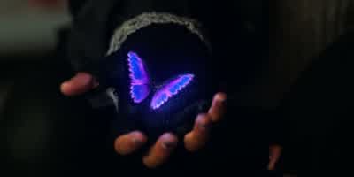 This butterfly, it isn't real. - Stranger Things