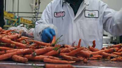 This is buying time to allow
the restaurants to come back. - Food and Country