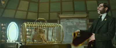This is called a cage. - Wicked