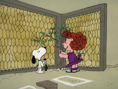This is called a creeping vine Snoopy - It's Arbor Day, Charlie Brown