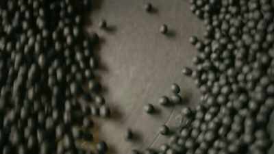 This carbon coat will protect
the seeds from hungry animals - The Green Planet