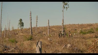 This clear-cut area is huge. - Broken