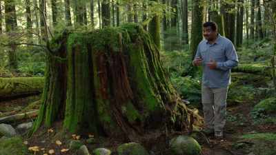 This continuous IV drip
from neighboring trees can - Cosmos: Possible Worlds