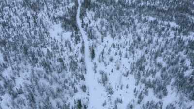 This could be a good
place to hunt next fall. - Life Below Zero: Next Generation