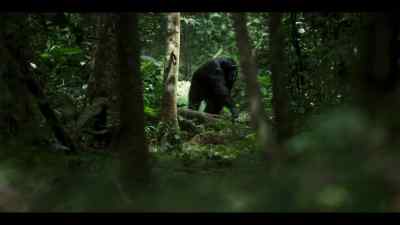 This could be the beginning of a powerful alliance. - Chimp Empire