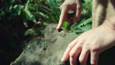 This could be the central part
of a vertebra. - Modern Dinosaurs