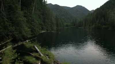  This could be
 the perfect location - Expedition Bigfoot