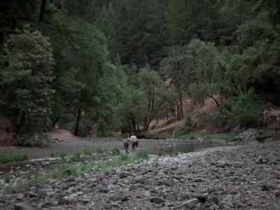 This creek's going
to lead us to a trail, - The Streets of San Francisco