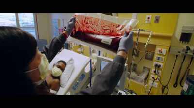 This is David's
old red blood cells. - Human Nature