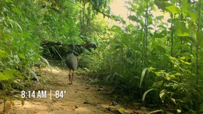         This is day five - Naked and Afraid