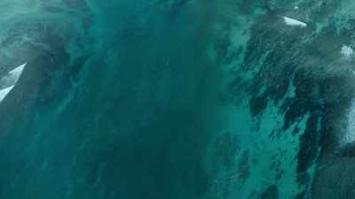 This deep water attracts
not just the hungry elasmosaurs - Prehistoric Planet