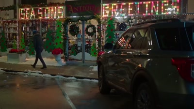 This is different. All of this personal,
romantic information, it's so detailed. - Bringing Christmas Home