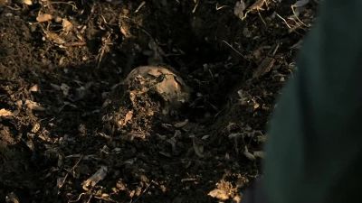 This doesn't make any sense. - Criminal Minds