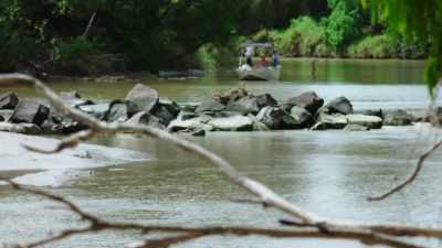 This dramatic population recovery - Modern Dinosaurs