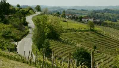 This elegant Trattoria is the ideal
place for a romantic evening. - The Trip
