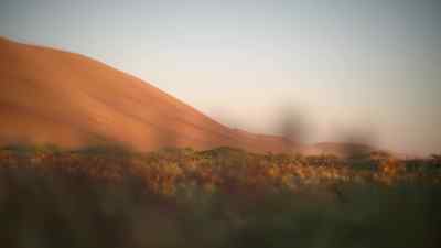 This is enough to feed the herd for now, - Prehistoric Planet