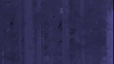  This is exactly where
 that thermal was coming from - Expedition Bigfoot