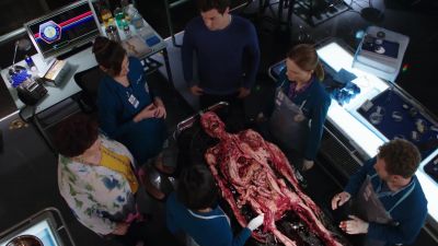 This is excellent
work, very thorough. - Bones