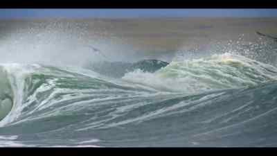 This exposed South Atlantic outpost
is blasted by relentless winds - Our Oceans