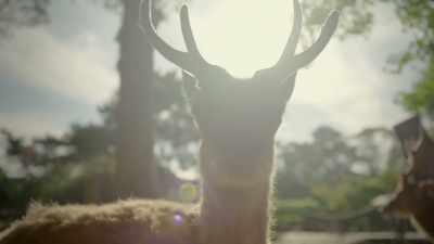 This extraordinary year,
the year Earth changed, - The Year Earth Changed